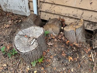 FREE Wood