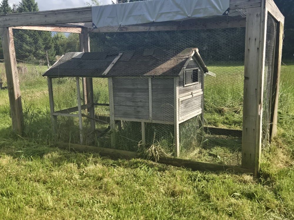 Chicken Coop