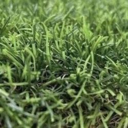 Snow Artificial Grass - Per Square Feet 