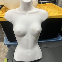 Maniquí Busto