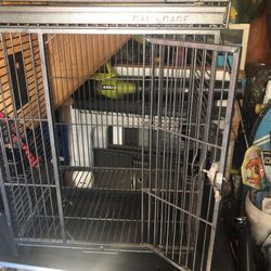 California Bird Cage