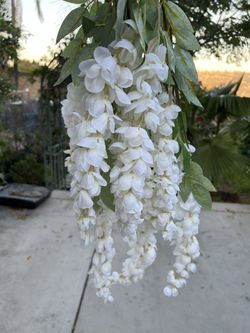 3 White Artificial Wisterias for Party and Wedding Decorations 