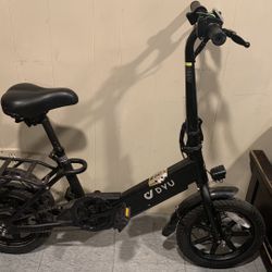 DYU Electric Bike 