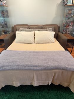 Couch/ pull out bed