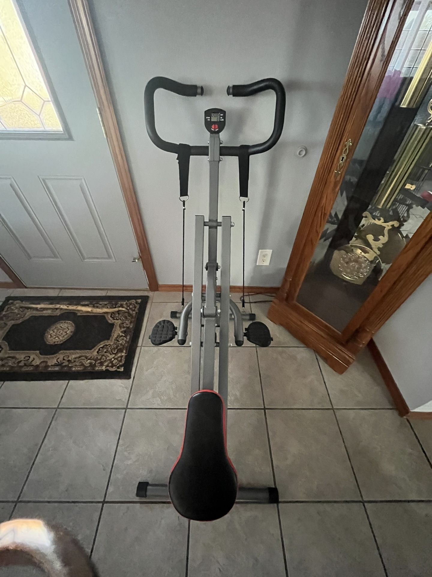 Sunny Health Row & Ride Machine