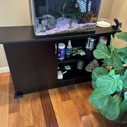 Complete 30 Gal Tank With  5 African  Fish ,Decorations, Half Bucket Instant Ocean Salt, 3 Additional Water Filters Pumps, And Many Decorative Article