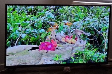 43" Toshiba 4K UHD Smart Fire TV - Perfect Working Condition!