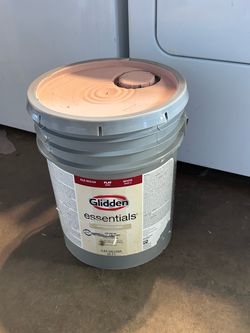 5 Gallon Paint Light Pink / Rosa Claro Glidden Essentials Exterior Flat