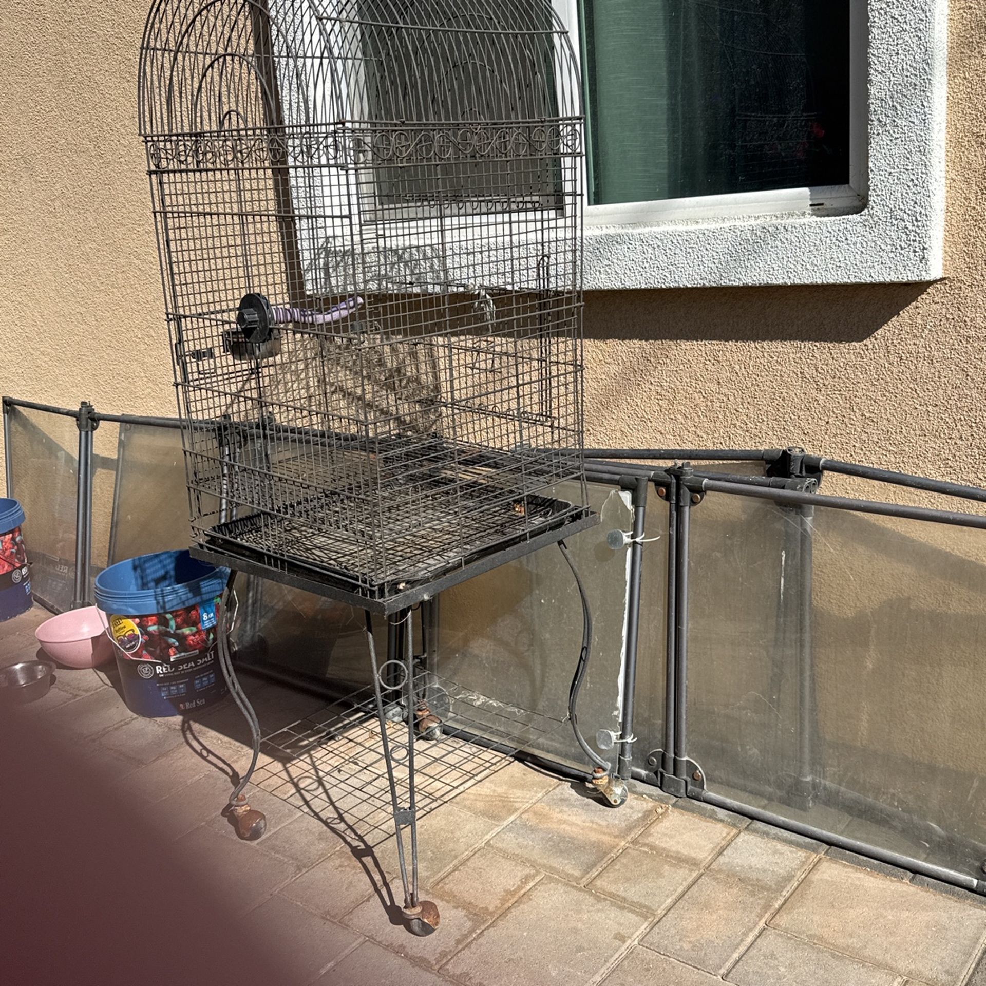 Bird cage with perch and bowl