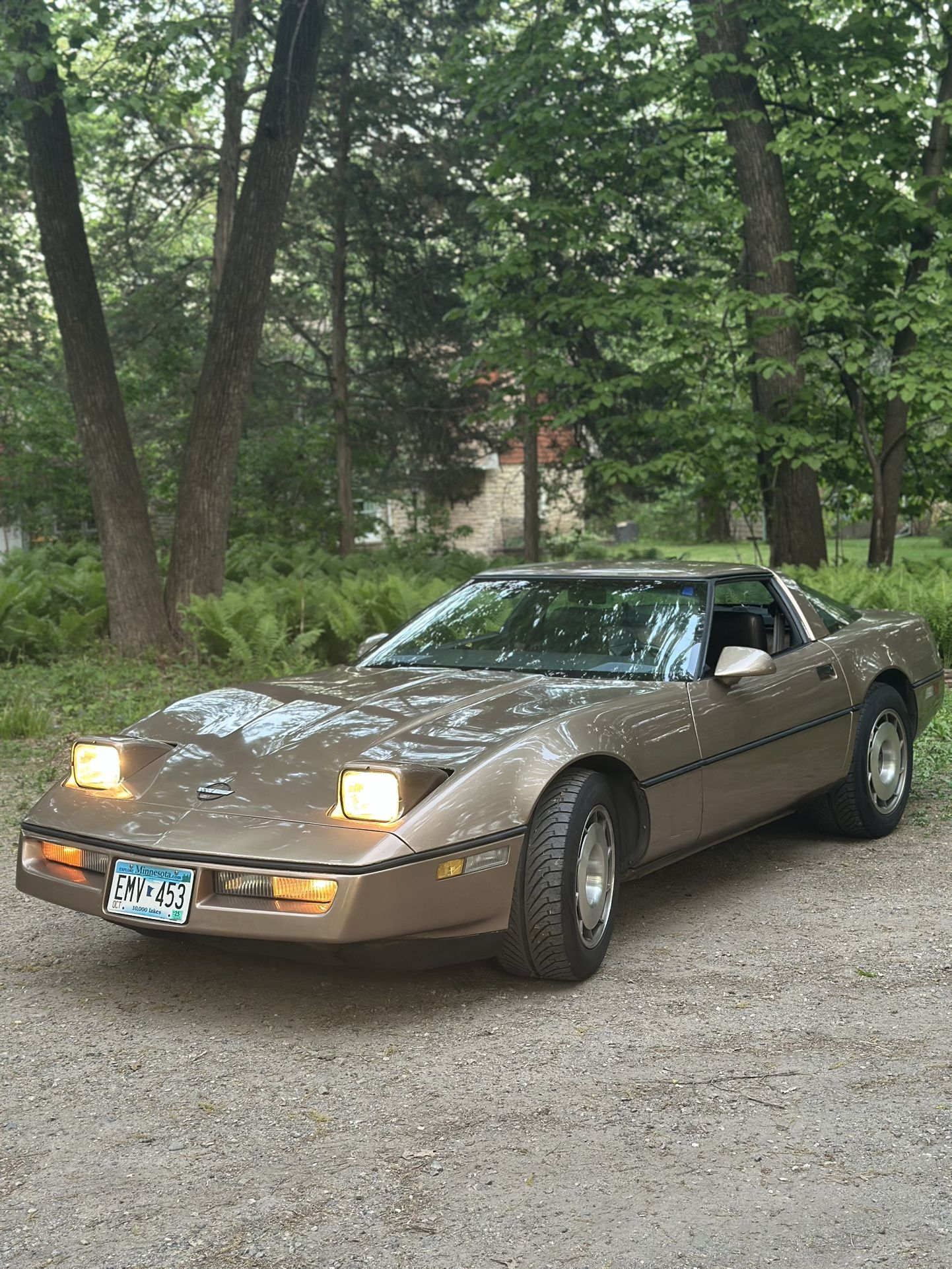 1984 Chevrolet Corvette