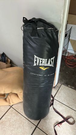 Everlast punching bag