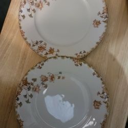 Limoges Plate Hand Painted