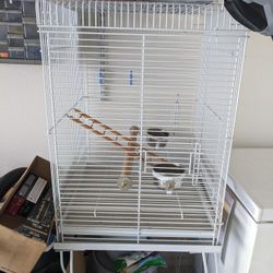 Bird Cage