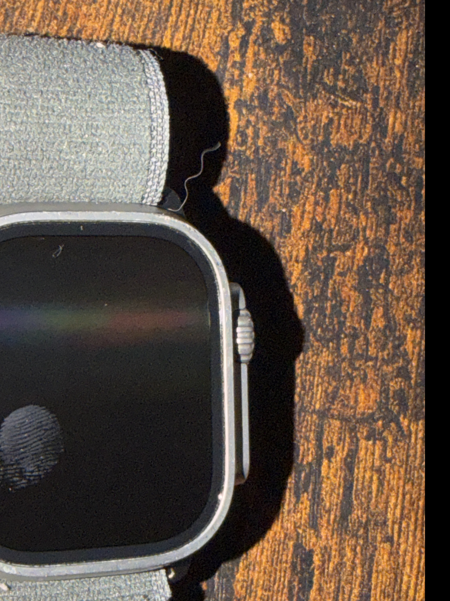 Apple Watch Ultra 2 Unlocked