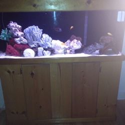 Aquarium stand with canopy 40 gallon