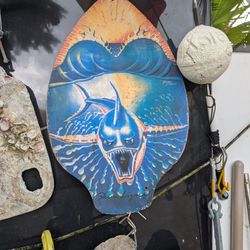 Skim Lizard Board