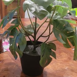 Artificial Ikea Plant