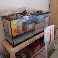 FISH TANK 