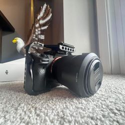Sony A7 iii With Smallrig Cage 