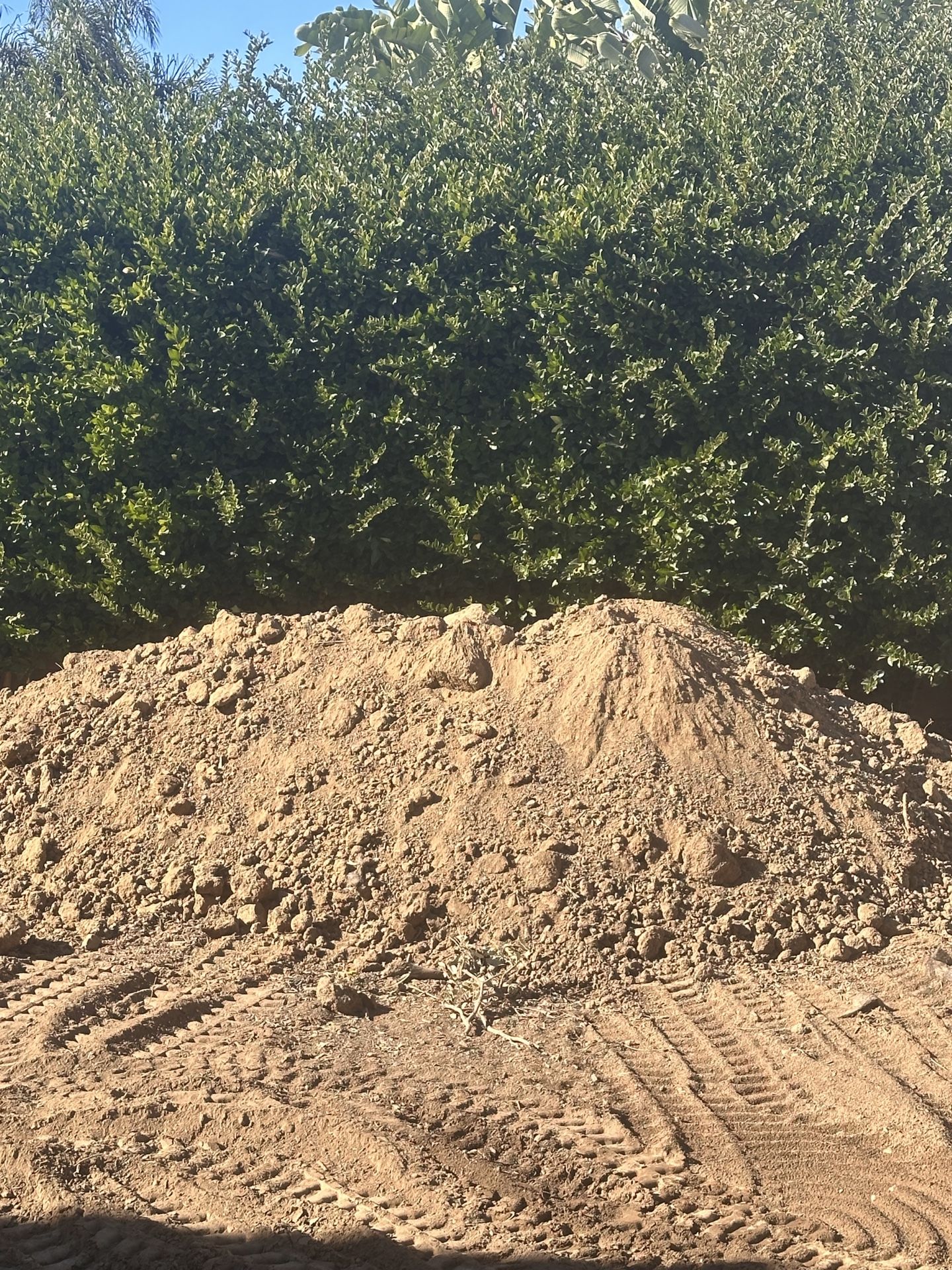 FREE Fill Dirt