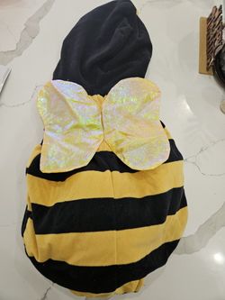 Bumble Bee Costume