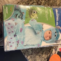 Sully Halloween Costume
