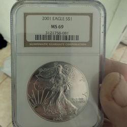 Pure Silver 1 Oz