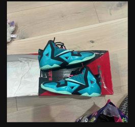 LeBron Shoes