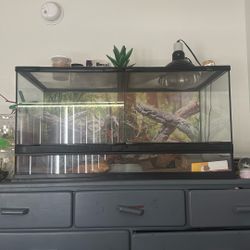 40gl Tank