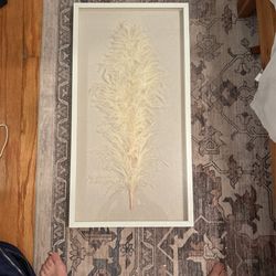Framed 3D Feather Wall Art Decor 