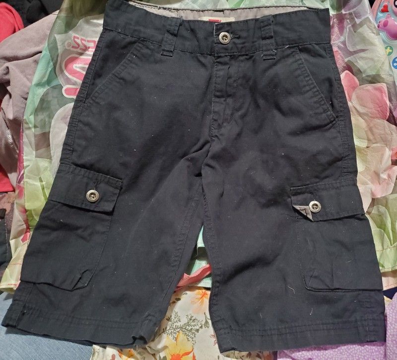 Levi Shorts