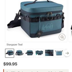 R.E.I. CO-OP  COOLER