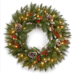 National Tree Company Frosted Berry 24 in. Artificial Wreath with Clear Lights 2401