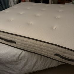Avocado brand Organic Mattress!
