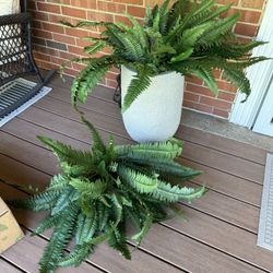 Two Boston Ferns - Nearly Natural Artificial Plant