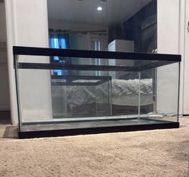 55 Gallon Fish Tank With Rocks