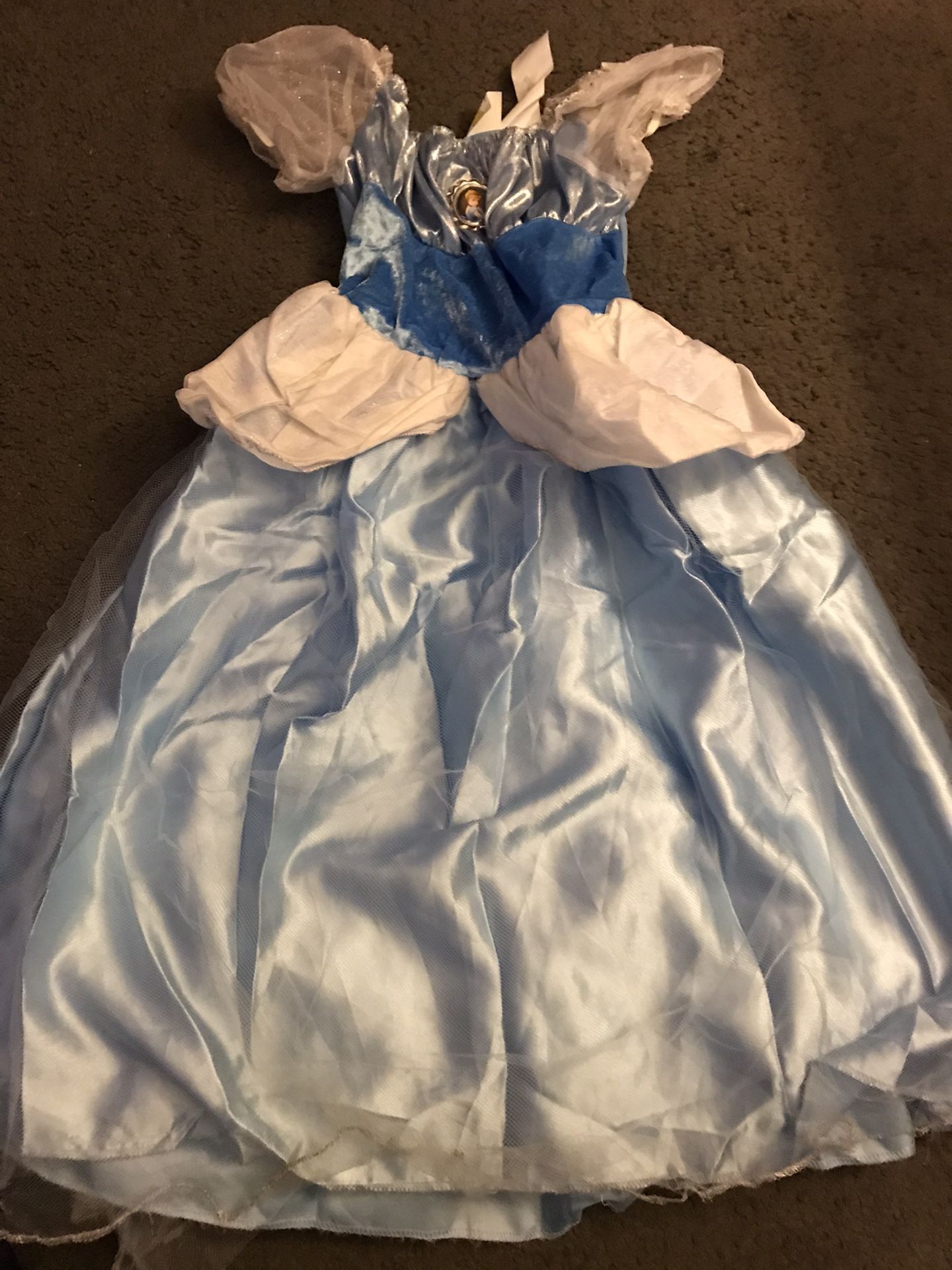 Cinderella costume