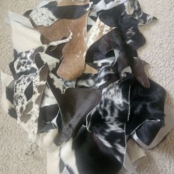 Authentic Cowhide Remnants 