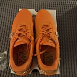 Lakai Larry June Whole Foods Collab Size 10