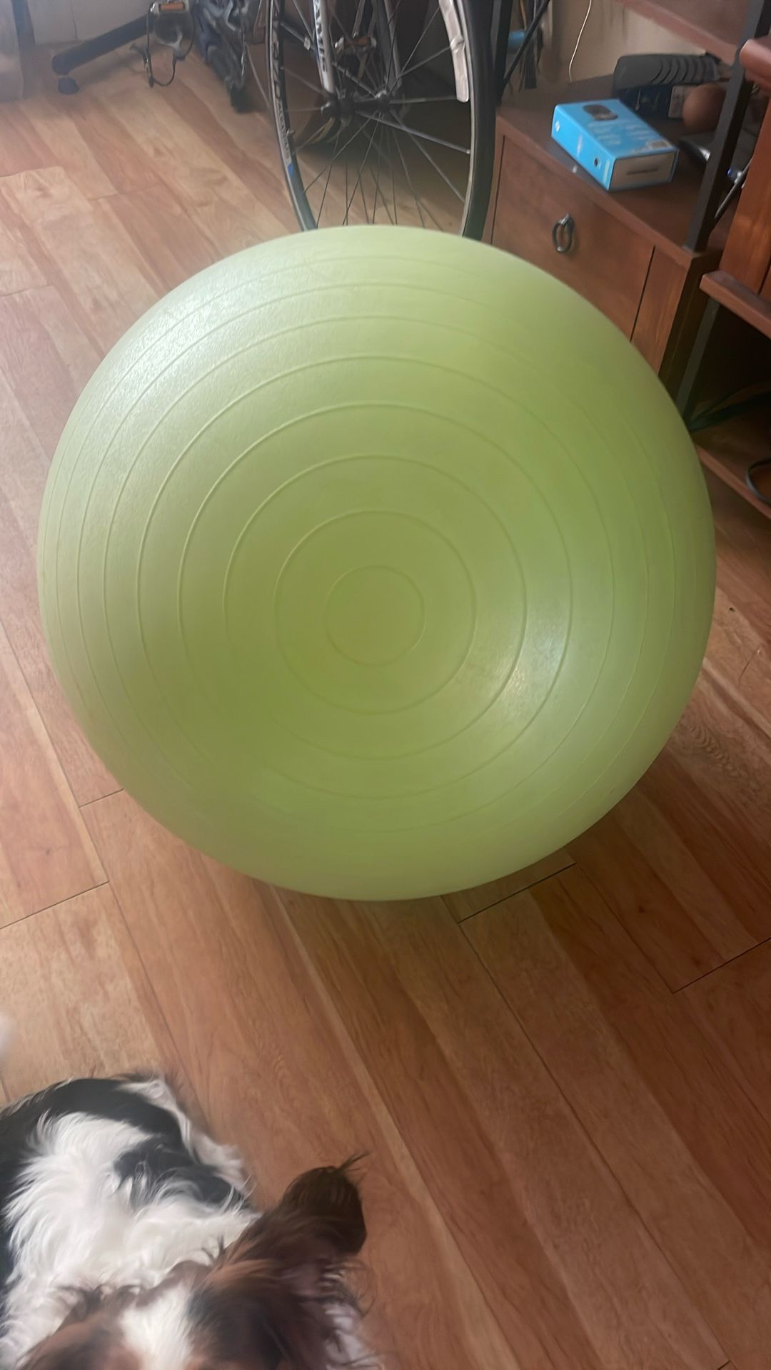 Exercise 🏀 Ball