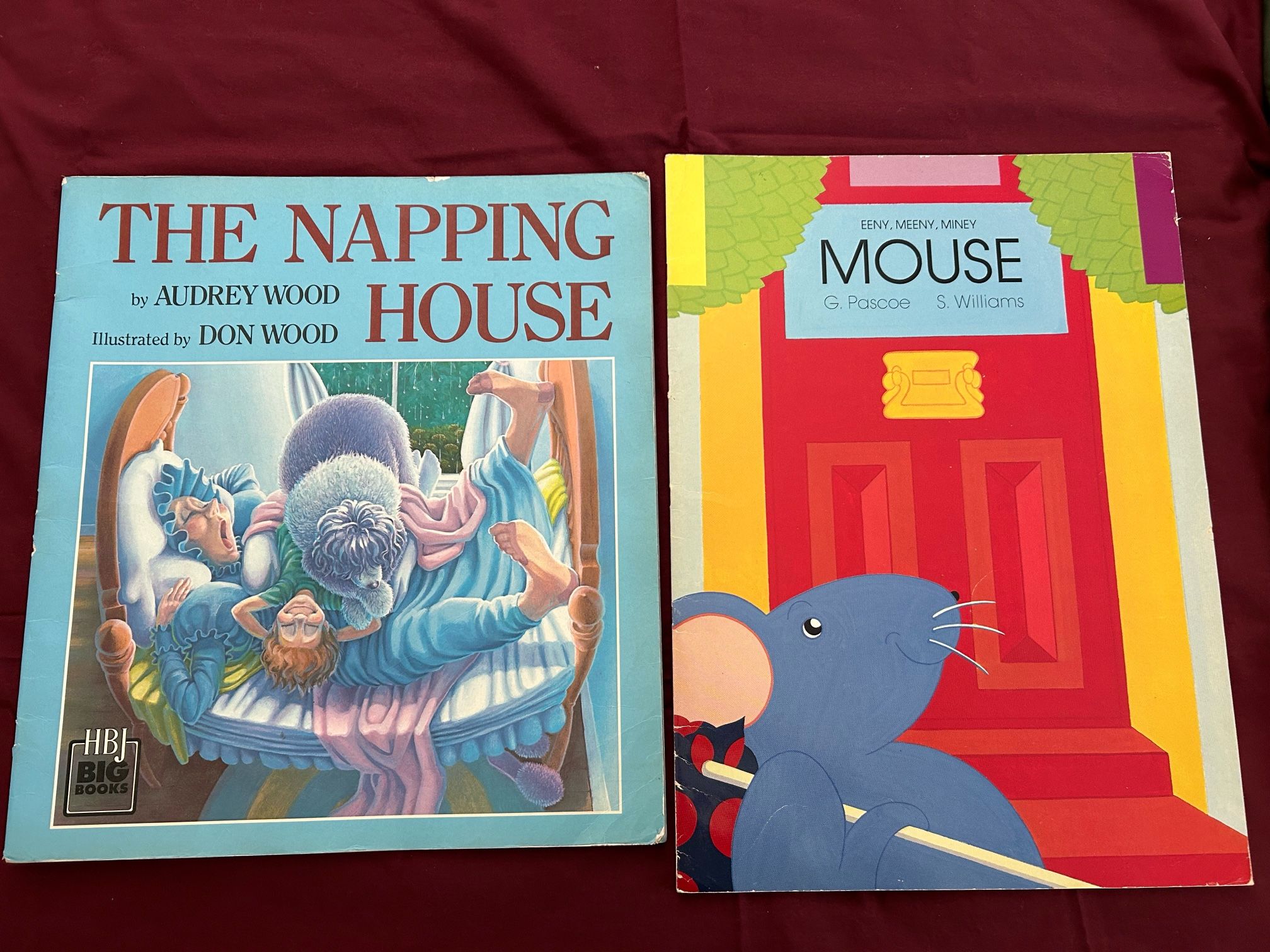 Assorted Big Books