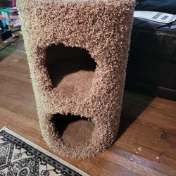 Cat House