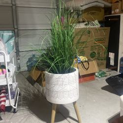 Plant Base