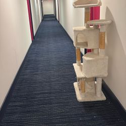 Cat Tree Condo 