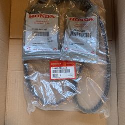 OEM Parts of Timing Belt and camshaft Seals