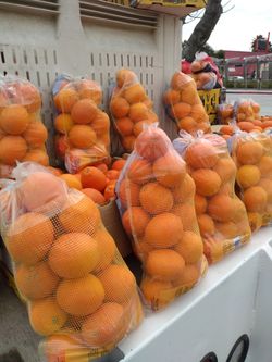 Oranges bags