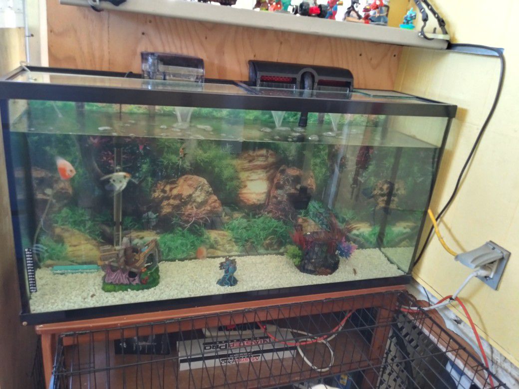 A big aquarium 80 gallons everything in side good condition
