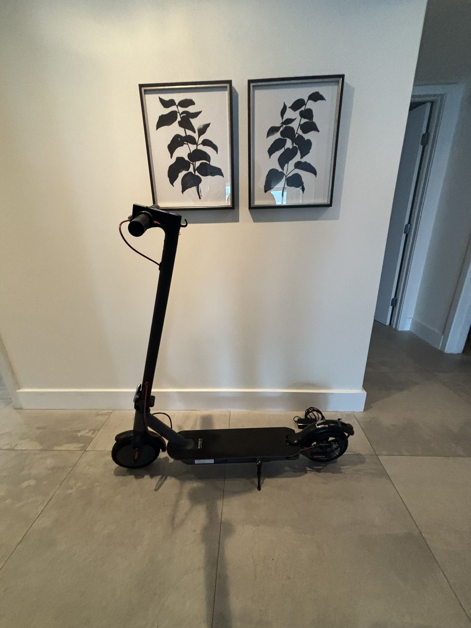 Electric Scooter