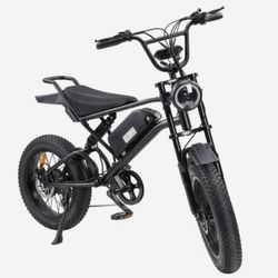 Electric bike