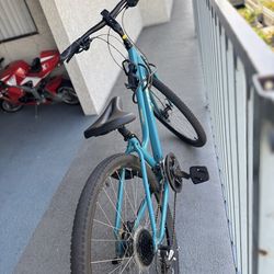 Trek Bike